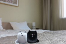 Серебряный ключ, Рыбный переулок, д.8