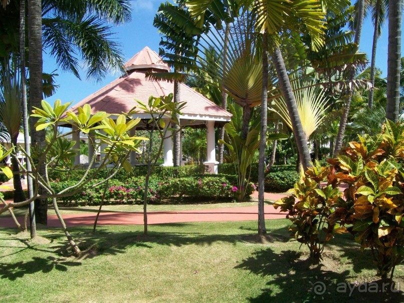 Понравилось в Be Live Grand Punta Cana 