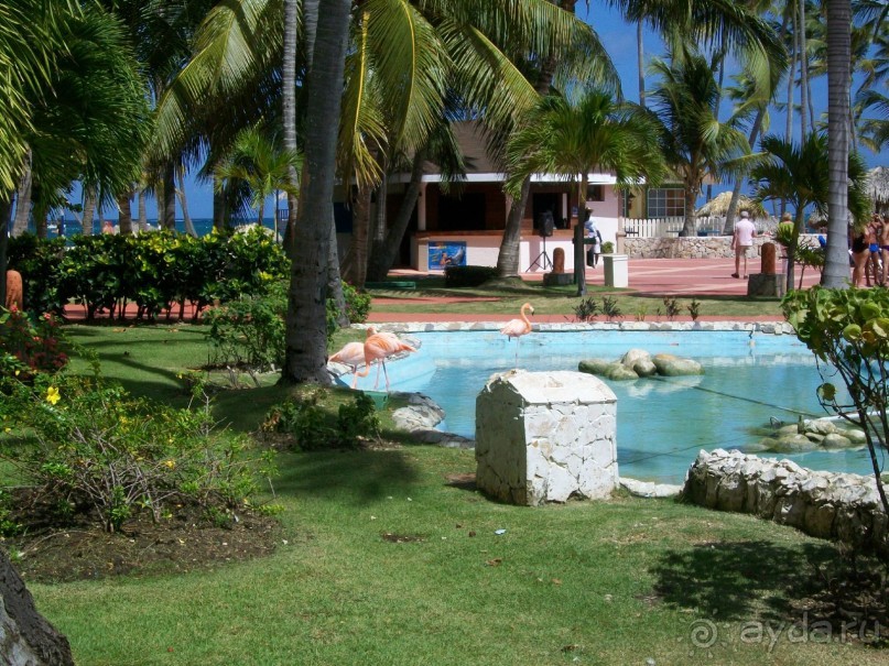 Понравилось в Be Live Grand Punta Cana 