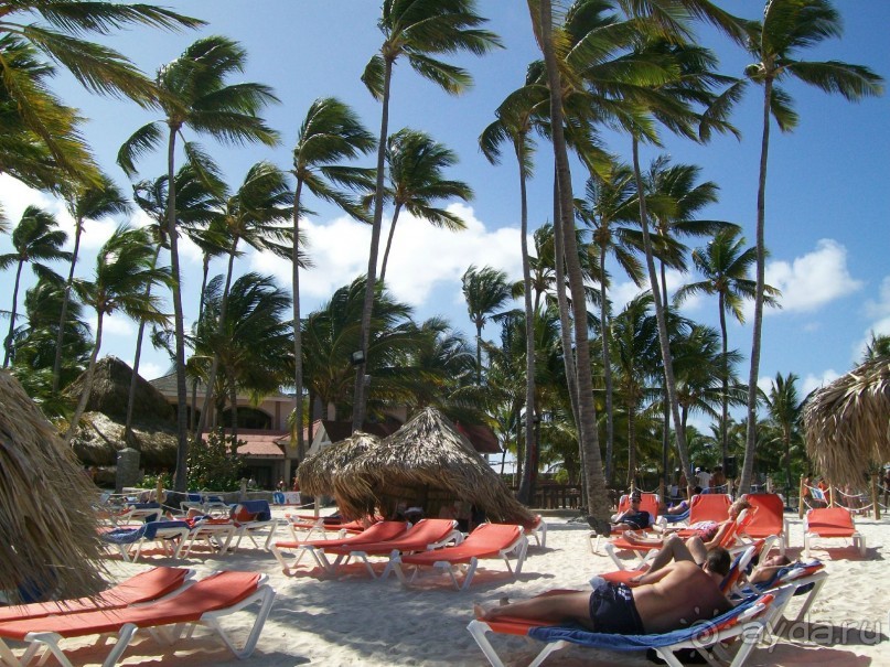 Понравилось в Be Live Grand Punta Cana 
