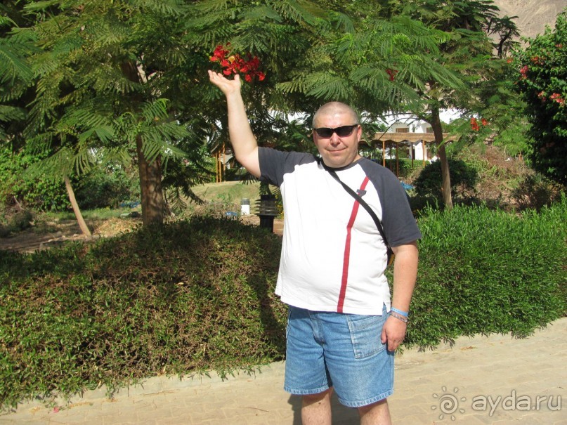 фото Дахаба