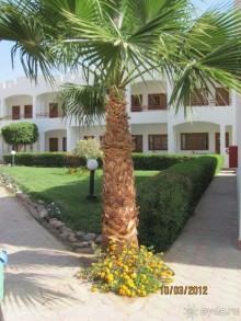 фото Happy Life Village