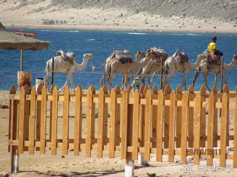 Отель Happy Life Village