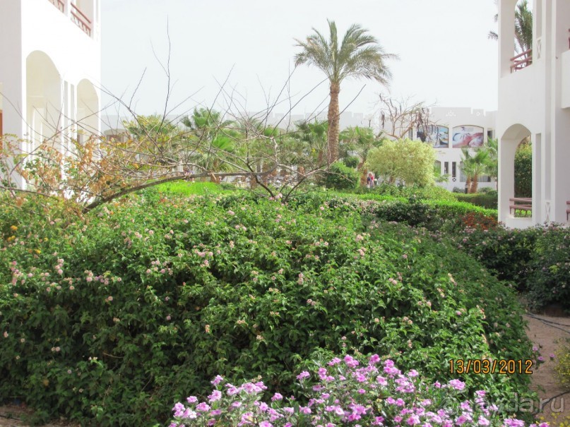 фото Happy Life Village