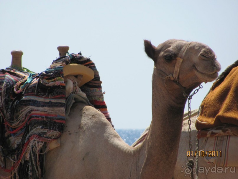 Отель Happy Life Village