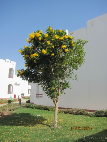 фото Happy Life Village