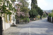 фото Дорнбирна