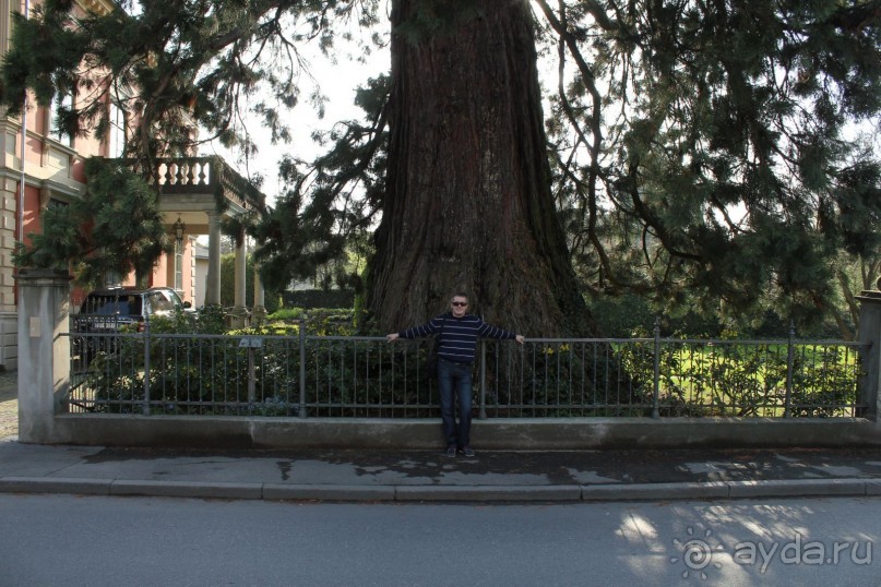 фото Дорнбирна