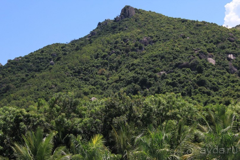 фото Diamond Bay Resort & SPA