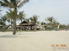 фото Palm Garden