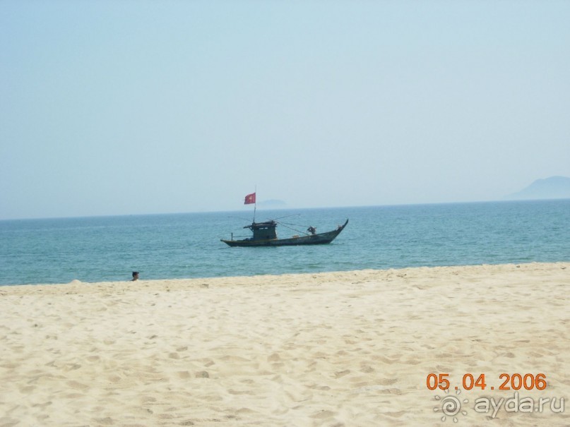 фото Palm Garden