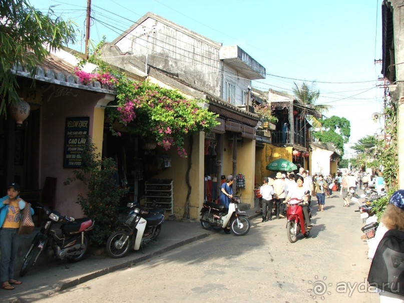 фото Palm Garden