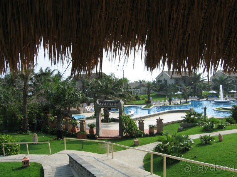 фото Хойана