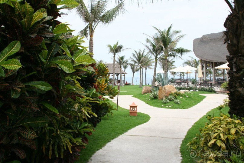 фото Хойана