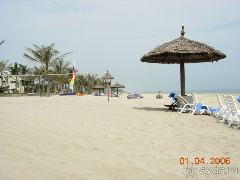 фото Palm Garden