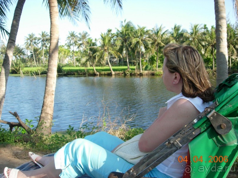 фото Palm Garden