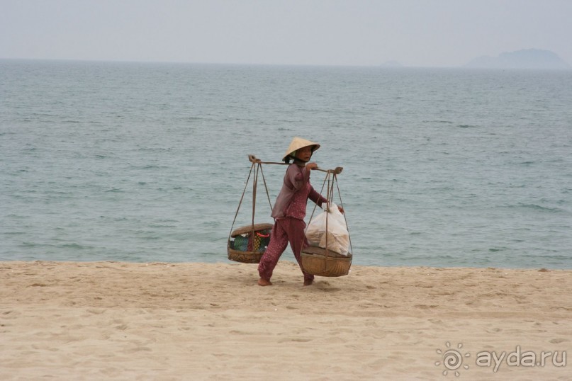 фото Palm Garden
