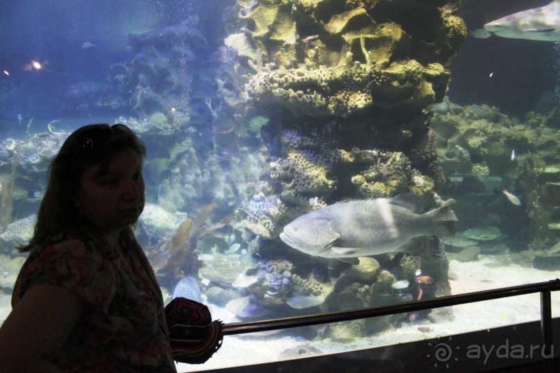 фото Diamond Bay Resort & SPA