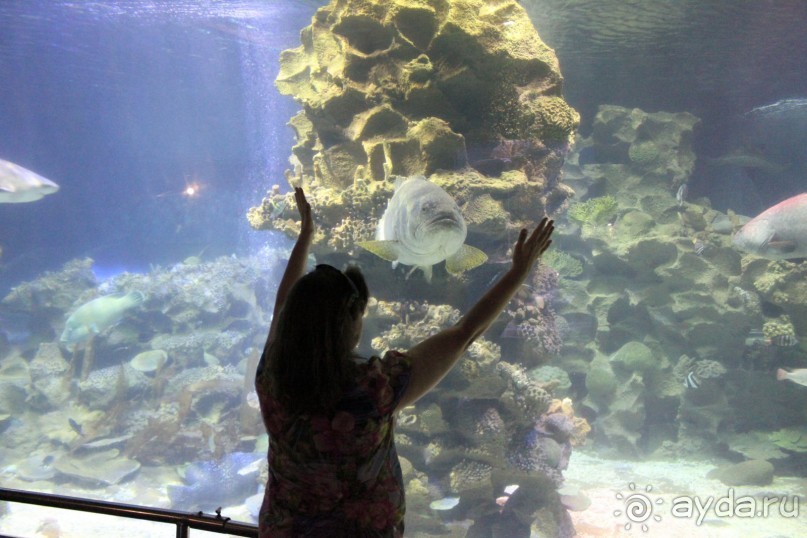 фото Diamond Bay Resort & SPA