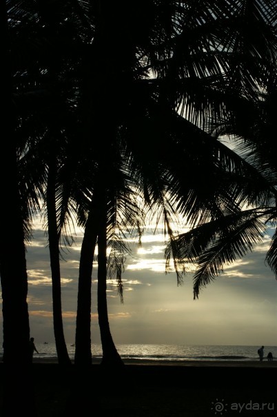 фото Silver Sands Beach Resort