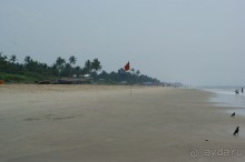 Ноябрь 2010 года