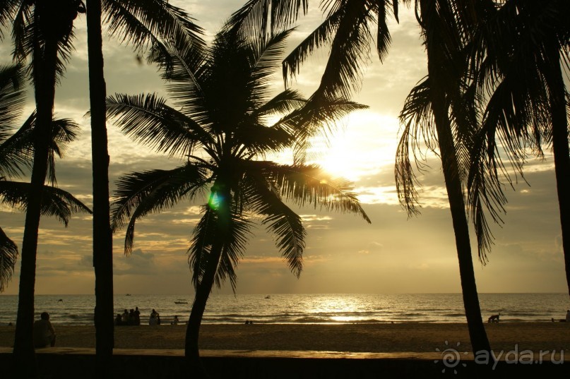 Ноябрь 2010 года