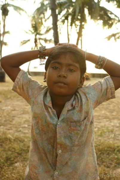 Ноябрь 2010 года