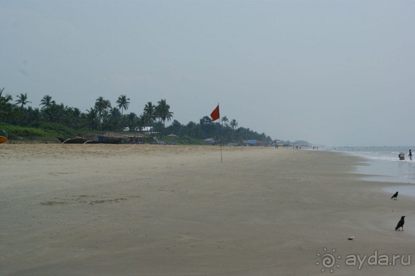 Ноябрь 2010 года