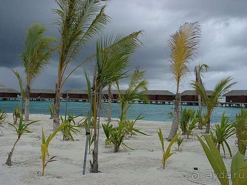 Овер воте сьют