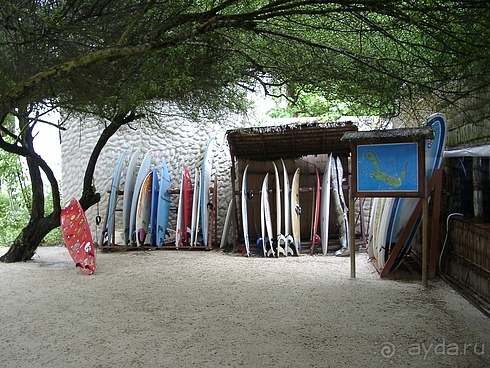 Серфинг бар