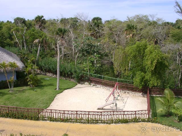 Детская площадка и кусочек дикой природы