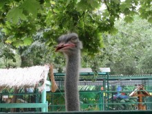 фото частный сектор