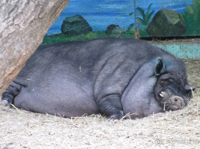 Бюджетный отдых