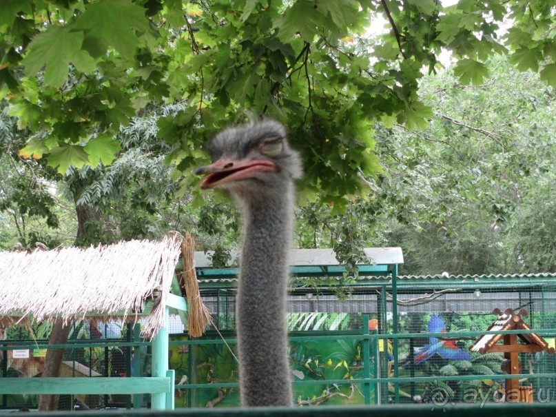 Бюджетный отдых