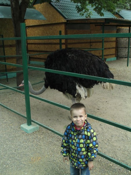 Бюджетный отдых