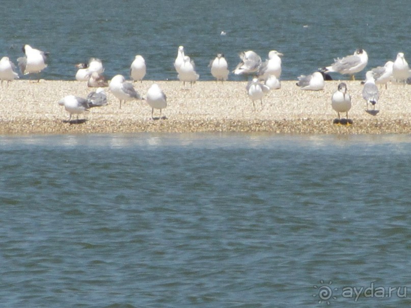 Бюджетный отдых