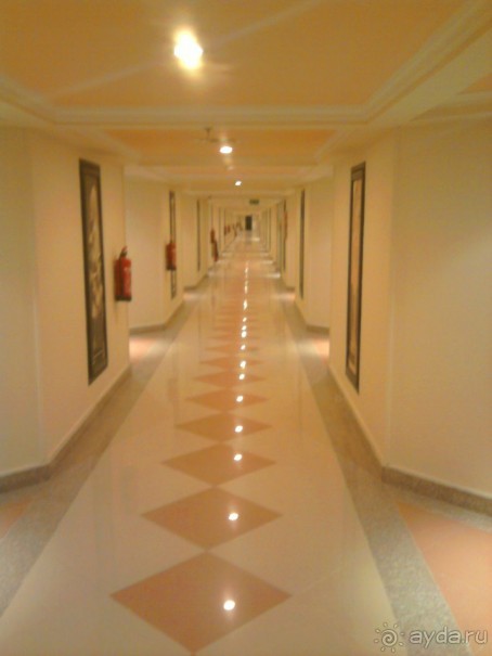 фото AMC Royal Hotel & Spa 