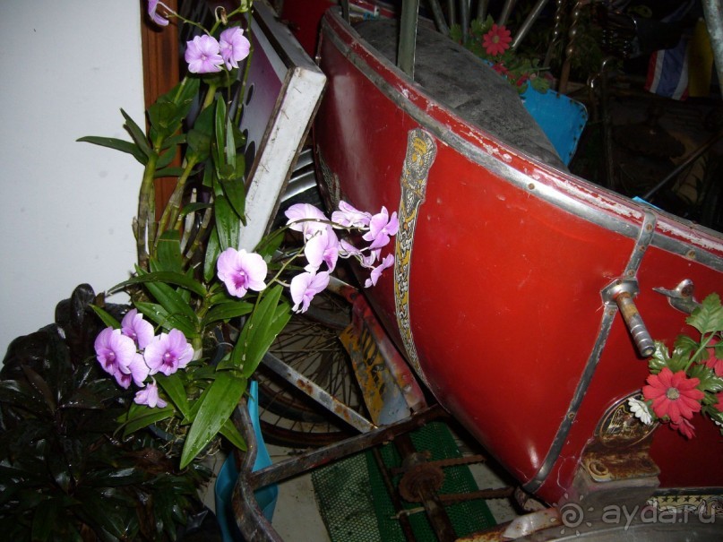 фото Tuana M-Narina Hotel