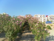 фото Bone Club Hotel SVS