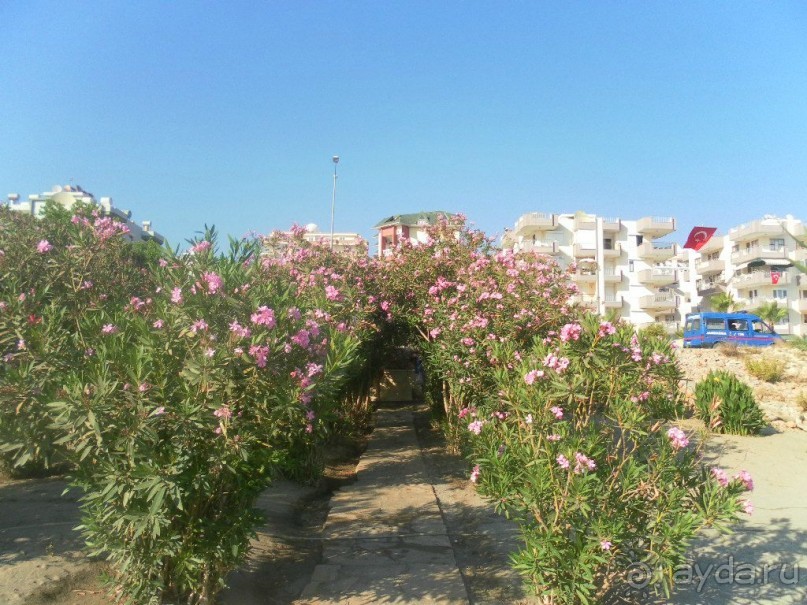 Хороший отель