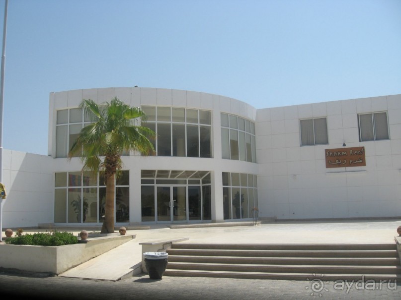 фото Sharm Reef Hotel