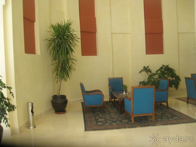 фото Sharm Reef Hotel
