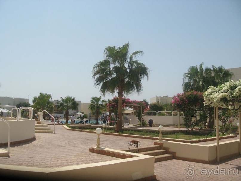 фото Sharm Reef Hotel