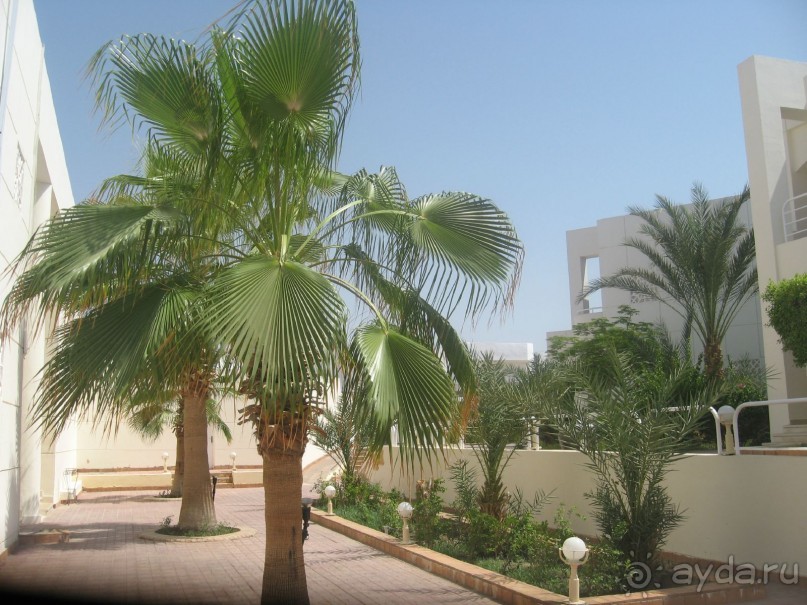 Отель отличный