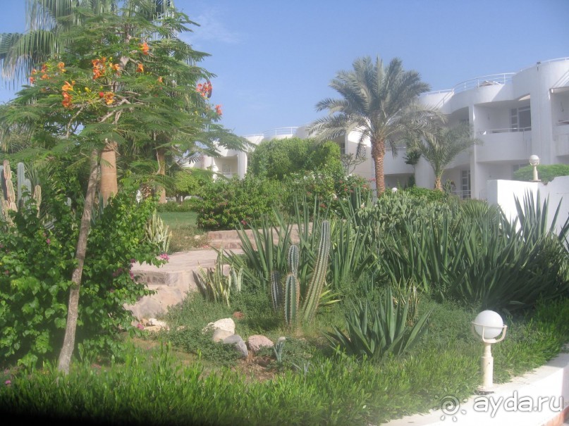 Отель отличный