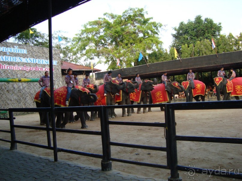 тайланд 2011 Патайя