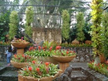 тайланд 2011 Патайя