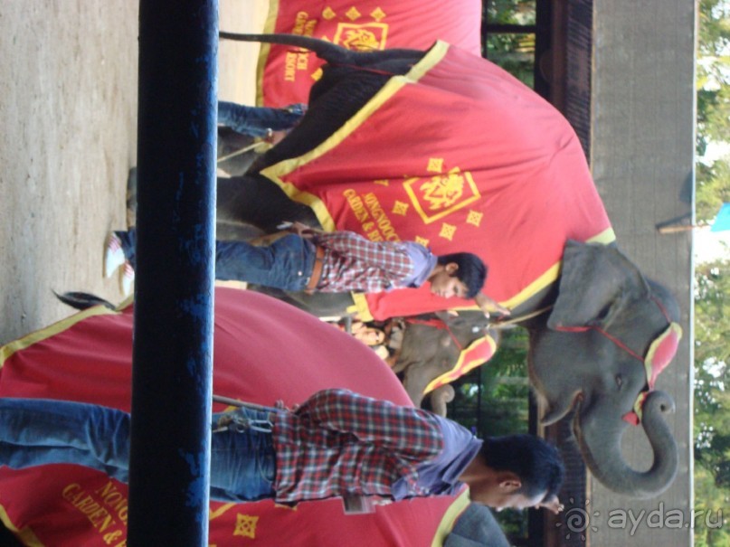 тайланд 2011 Патайя