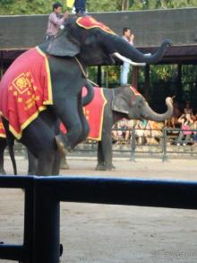 тайланд 2011 Патайя