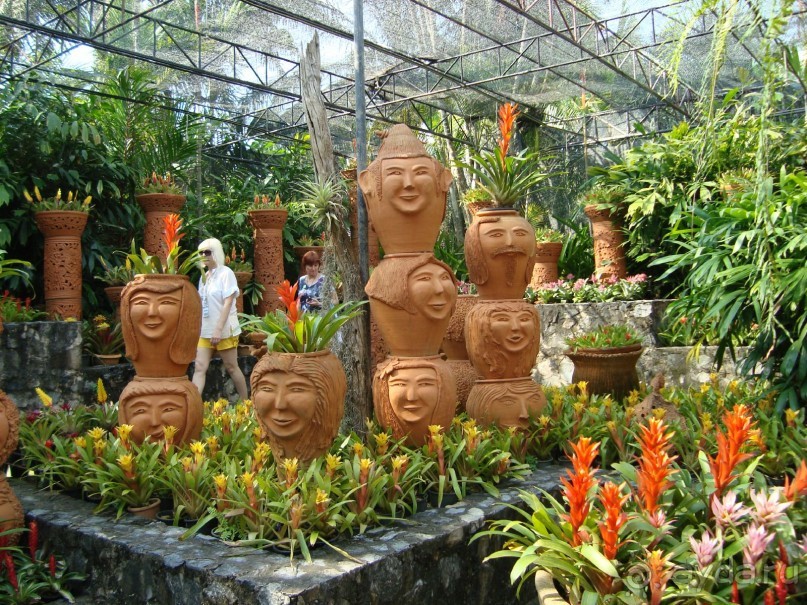 тайланд 2011 Патайя